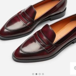 Everlane Penny Loafer in brown